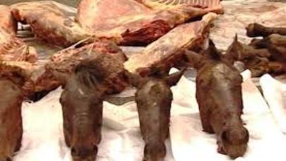 Atları kəsib ətini satmaq istədilər